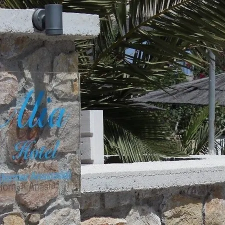 Hotel Alia 3*